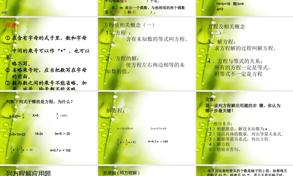 《式与方程的整理与复习》ppt课件(1)2(8)