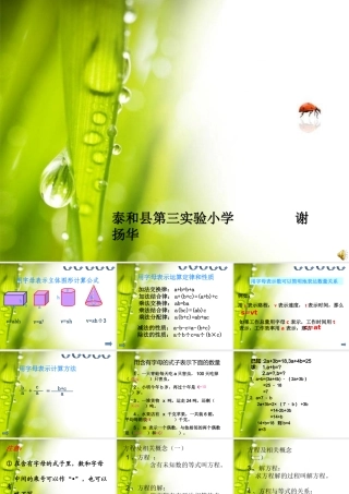 《式与方程的整理与复习》ppt课件(1)2(8)