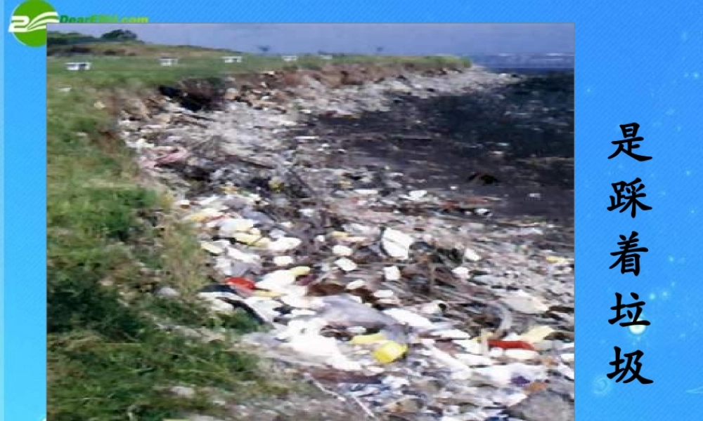 八年级政治下册 第三课做大自然的朋友之一人类责任课件教科版 课件