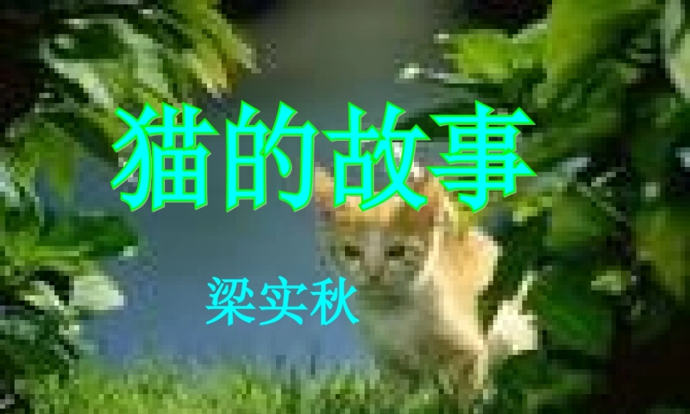 七年级语文上：第9课(猫的故事)课件北师大版 课件