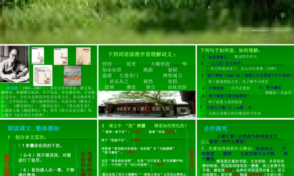 七年级语文上：第9课(猫的故事)课件北师大版 课件