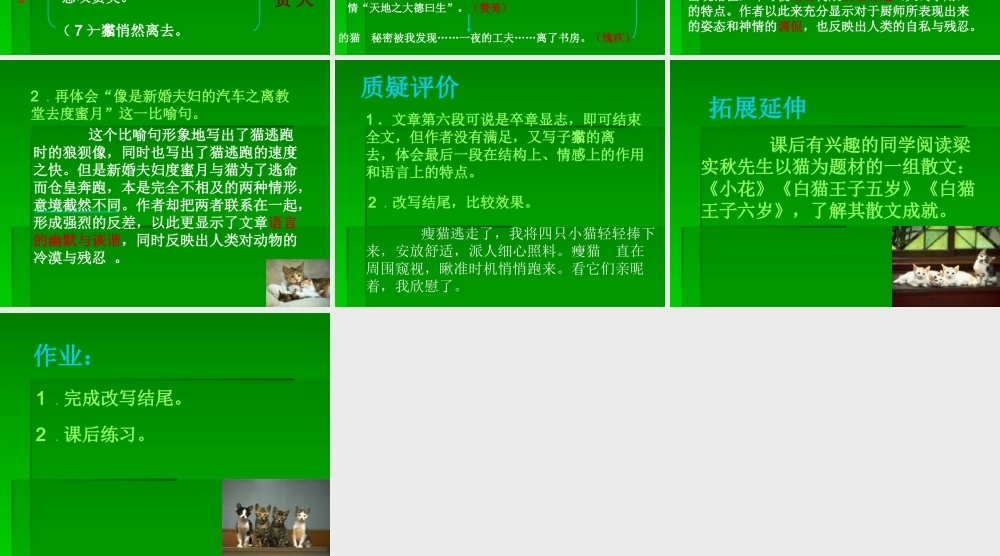 七年级语文上：第9课(猫的故事)课件北师大版 课件