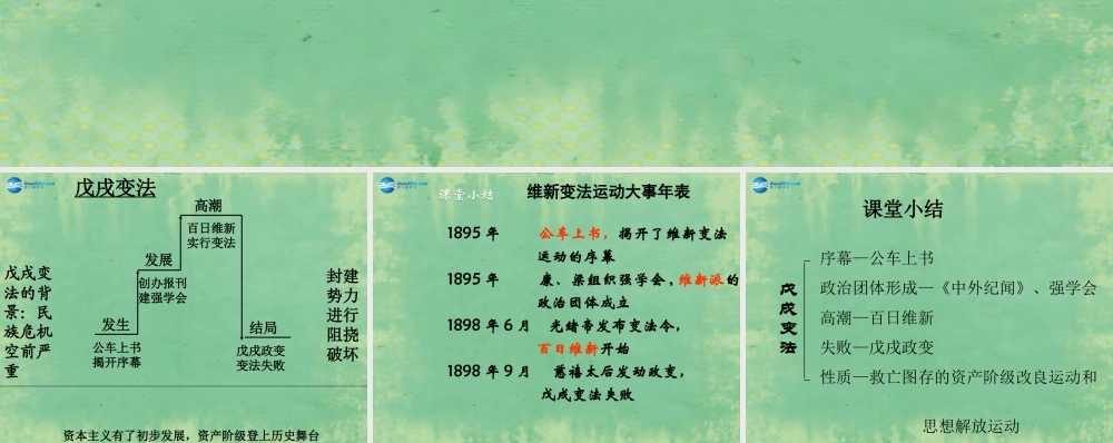 中学七年级历史上册 第8课 戊戌变法课件2 鲁教版五四制 课件