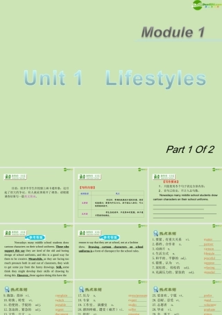 广东省高三英语第一轮总复习 Module1 Unit1 Lifestyles(1)课件 北师大版 新课标 课件