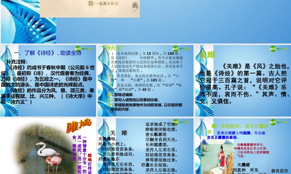 九年级语文下册 (诗经)两首优秀教学课件 人教新课标版 课件