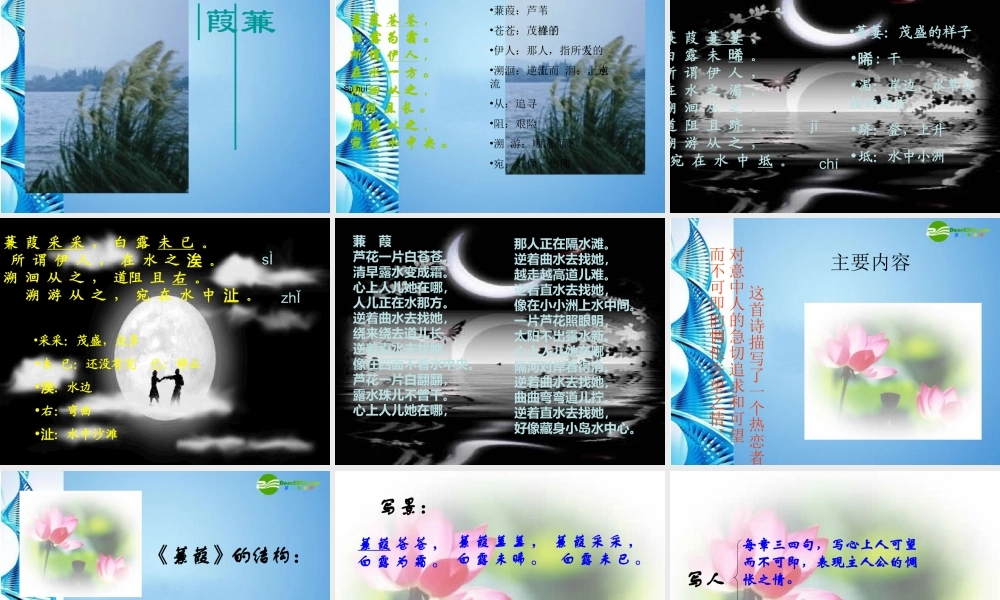 九年级语文下册 (诗经)两首优秀教学课件 人教新课标版 课件