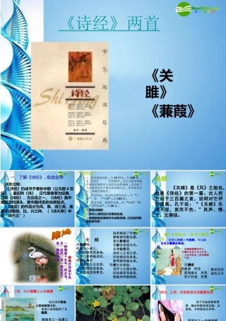 九年级语文下册 (诗经)两首优秀教学课件 人教新课标版 课件