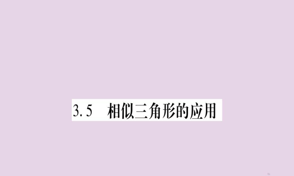 九年级数学上册 第3章 图形的相似 35 相似三角形的应用作业课件 (新版)湘教版 课件