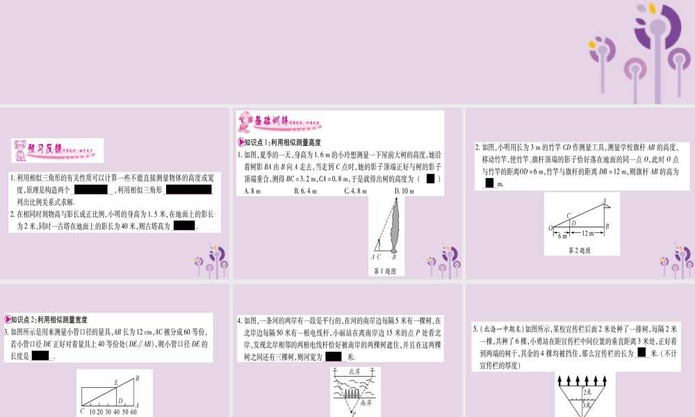 九年级数学上册 第3章 图形的相似 35 相似三角形的应用作业课件 (新版)湘教版 课件