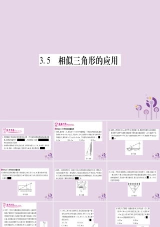 九年级数学上册 第3章 图形的相似 35 相似三角形的应用作业课件 (新版)湘教版 课件