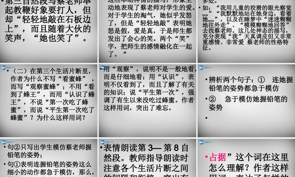 中学七年级语文上册 第6课 我的老师课件 (新版)新人教版 课件