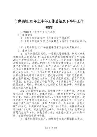市供销社XX年上半年工作总结及下半年工作安排