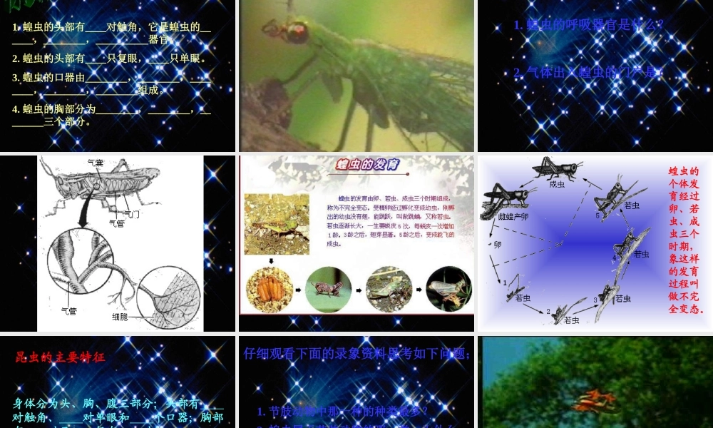 八年级生物 节肢动物课件1 八年级生物 节肢动物课件[整理两套] 八年级生物 节肢动物课件[整理两套]
