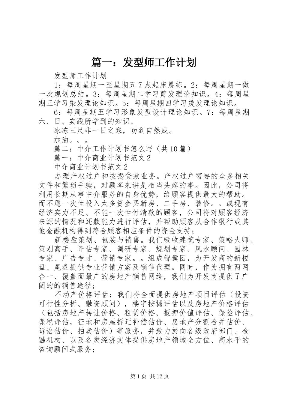 篇一：发型师工作计划_第1页