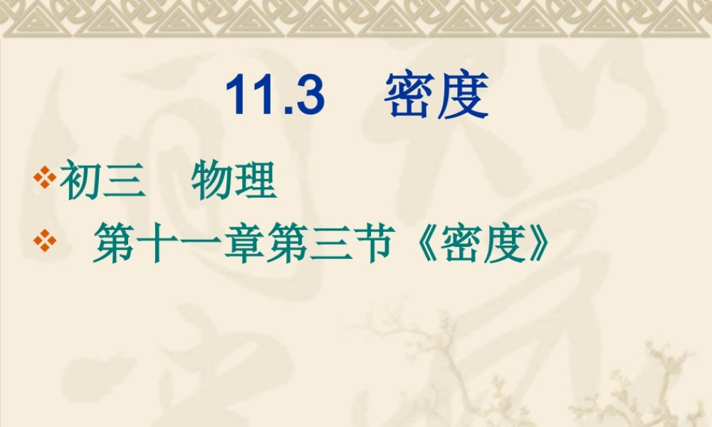 九年级物理 113(密度)课件