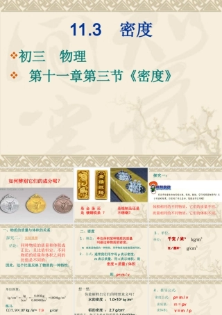 九年级物理 113(密度)课件