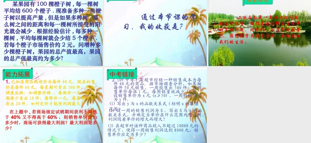 九年级数学下册 实际问题与二次函数第1课时课件 人教新课标版 课件