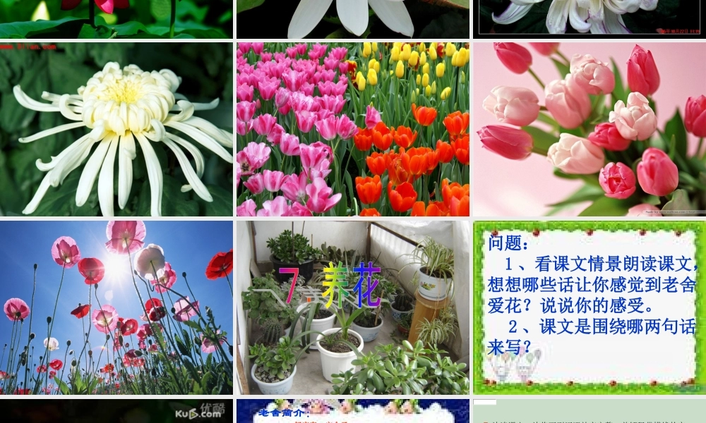 《养花》课件-11