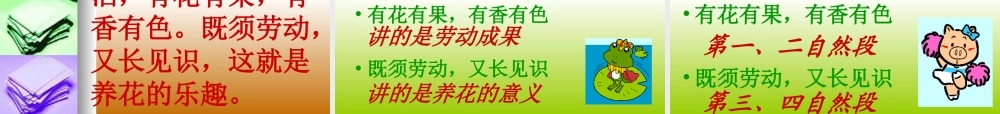 《养花》课件-11
