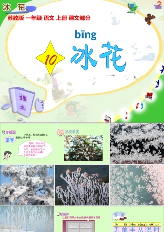 10《冰花》