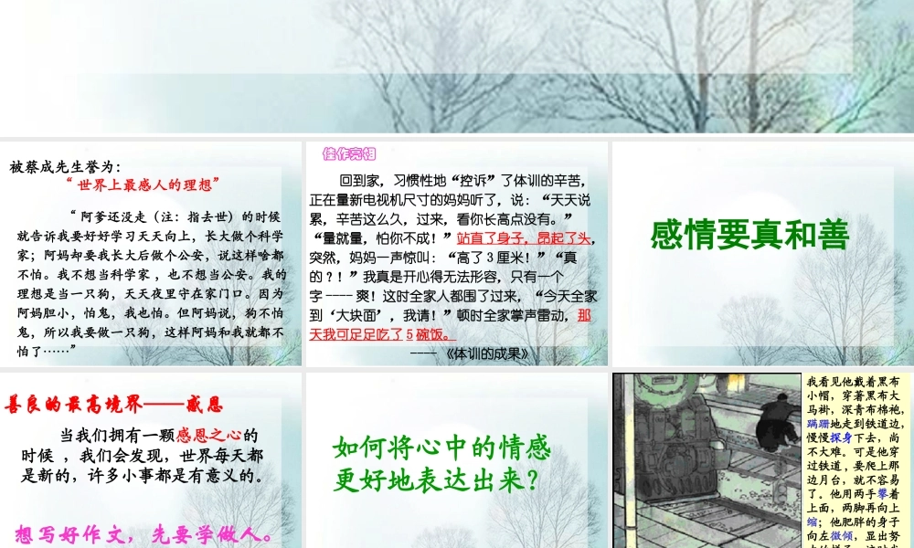 八年级语文 作文的情感美 课件 新课标 人教版 课件