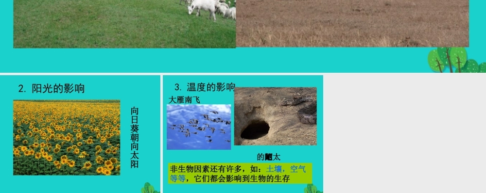 八年级生物下册 第七单元 第一章 第一节 一、非生物因素对生物的影响 非生物因素对自然界的影响课件 冀少版 课件