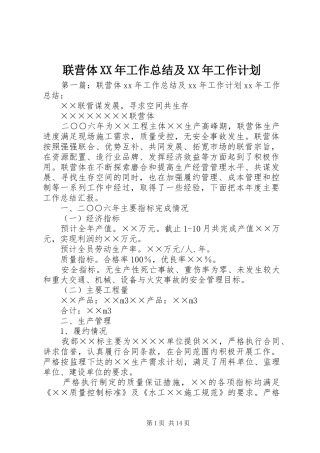 联营体XX年工作总结及XX年工作计划