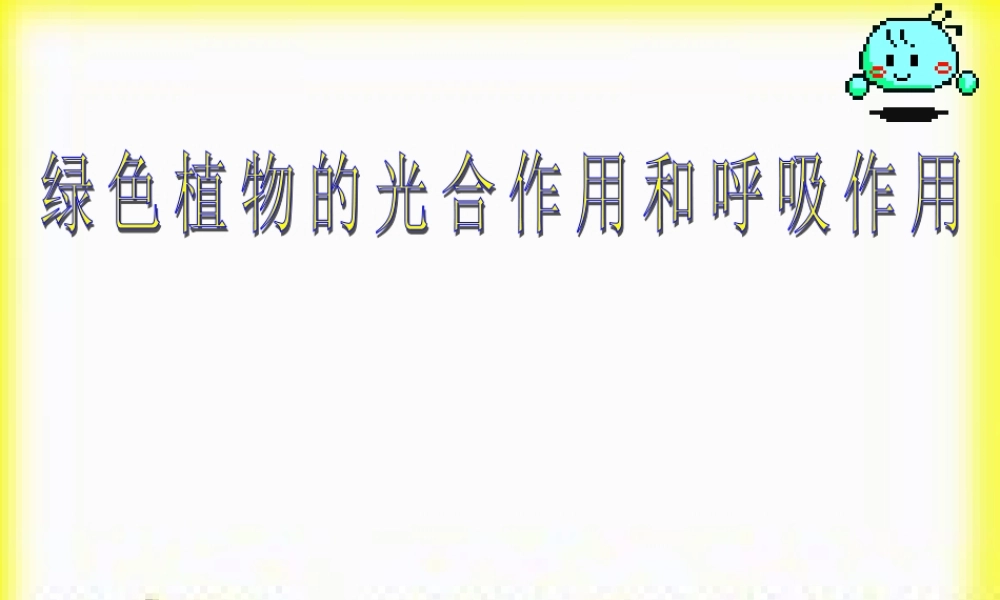 八年级生物 光合作用和呼吸作用、蒸腾作用复习课件