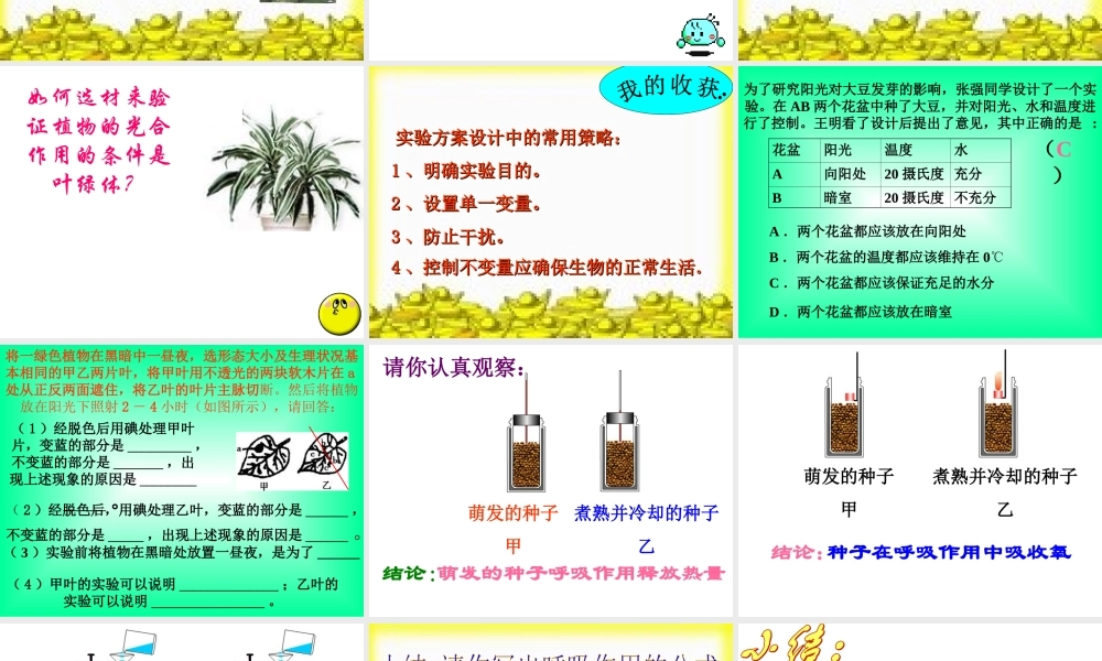 八年级生物 光合作用和呼吸作用、蒸腾作用复习课件