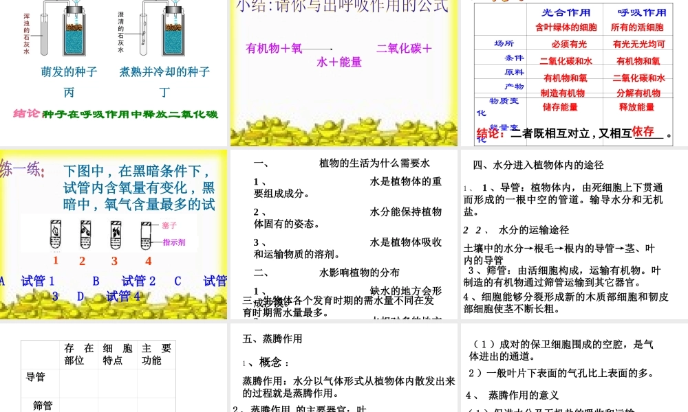 八年级生物 光合作用和呼吸作用、蒸腾作用复习课件