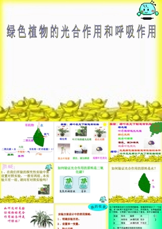 八年级生物 光合作用和呼吸作用、蒸腾作用复习课件