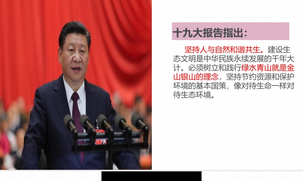 实施可持续发展战略