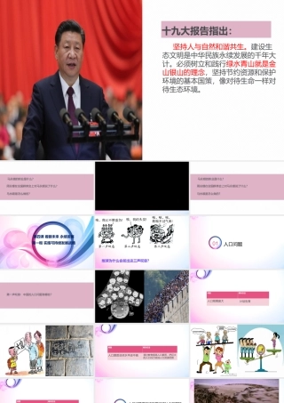 实施可持续发展战略