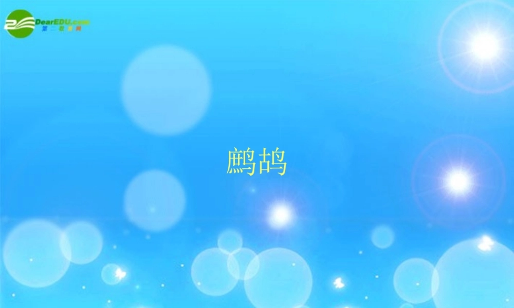 七年级语文下册(古诗三首)之鹧鸪课件 苏教版 课件