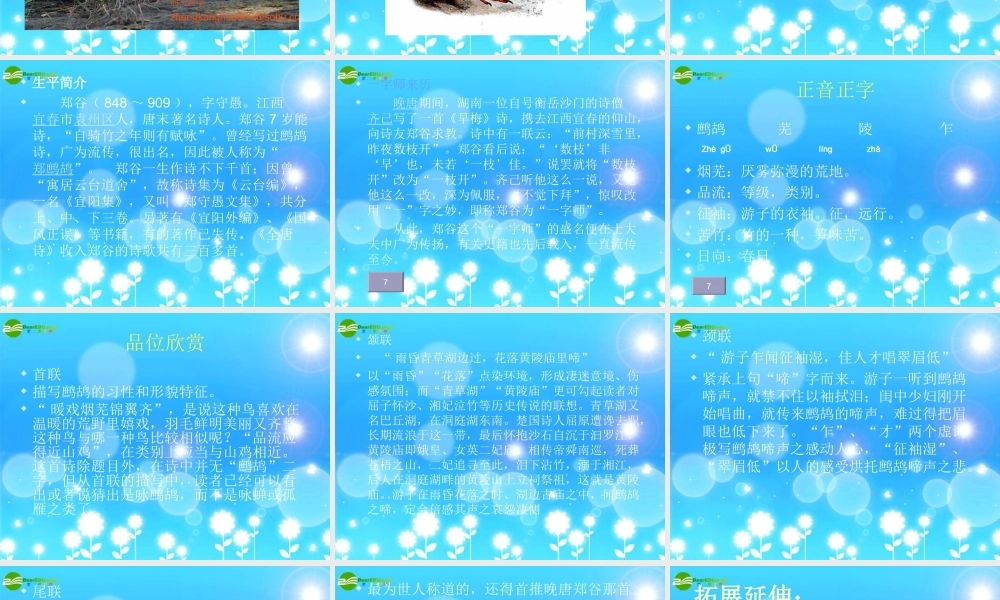 七年级语文下册(古诗三首)之鹧鸪课件 苏教版 课件