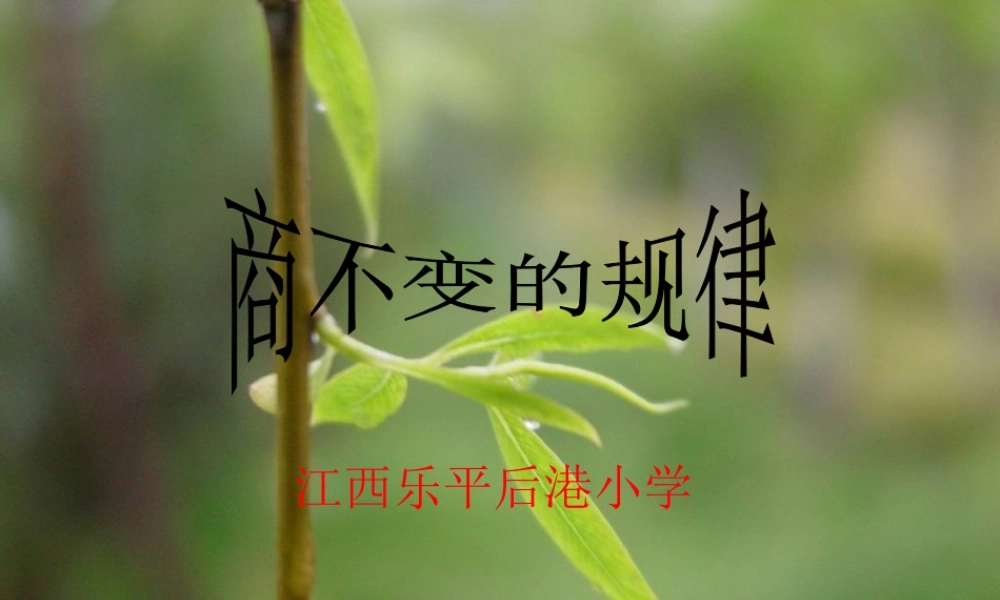 小学数学北师大2011课标版四年级《商不变规律》的教学设计