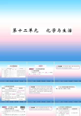 中考化学复习 第1编 教材知识梳理篇 第12单元 化学与生活(精讲)课件