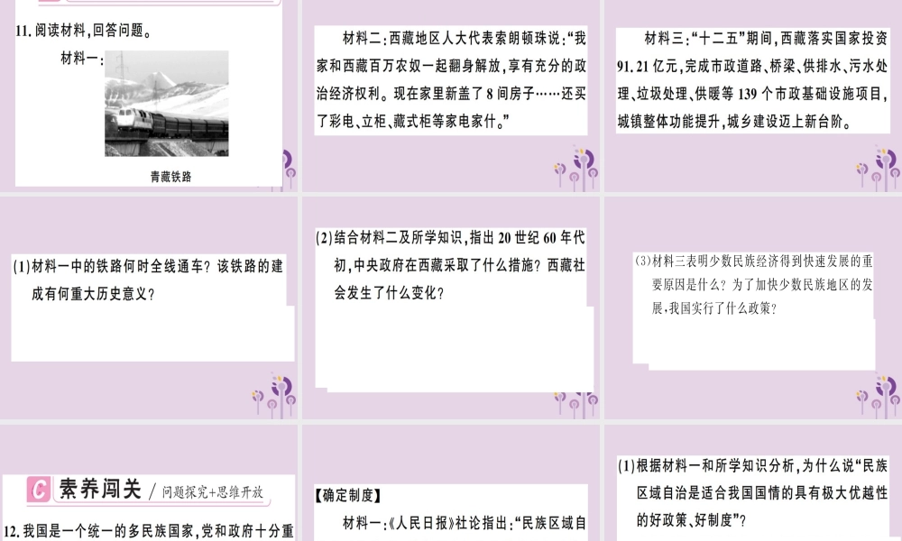 春八年级历史下册 第四单元 民族团结与祖国统一 第12课 民族大团结同步训练课件 新人教版 课件