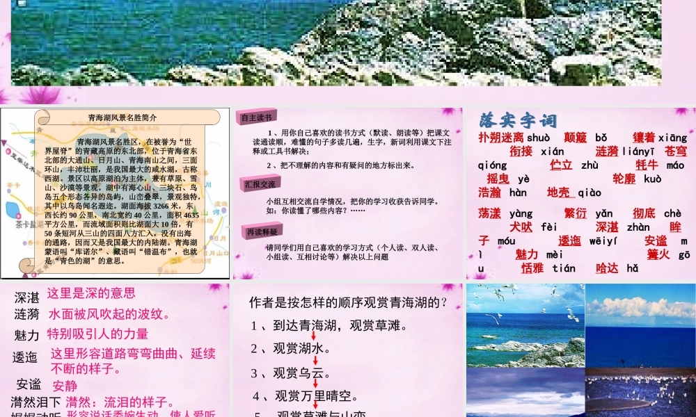 中学八年级语文上册 3 青海湖，梦幻般的湖课件 语文版 课件