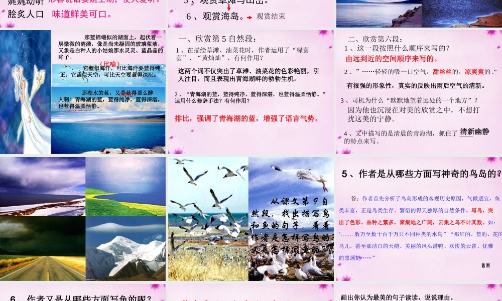 中学八年级语文上册 3 青海湖，梦幻般的湖课件 语文版 课件