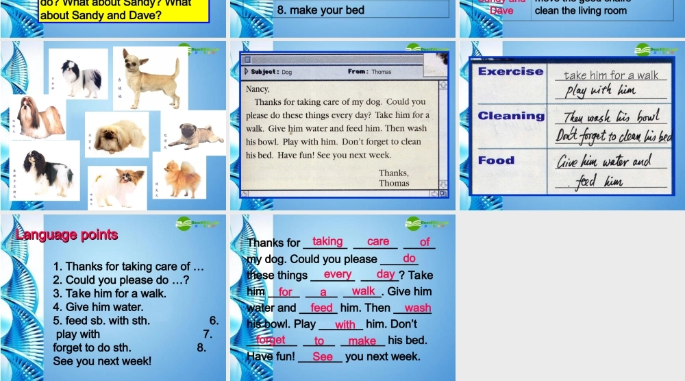 八年级英语上册 unit11Could you please clean your room？课件 人教新目标版 课件