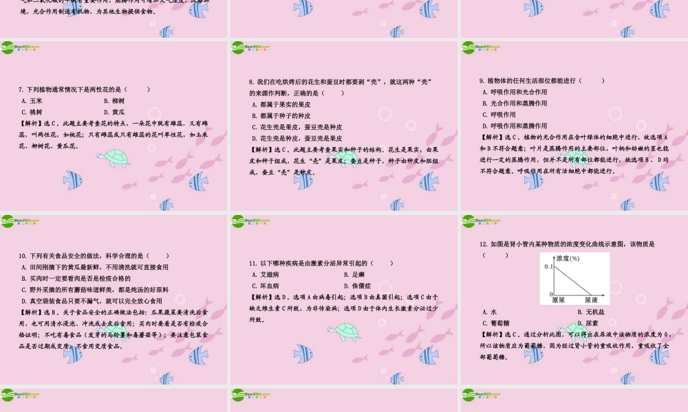 学中考生物业水平考试模拟冲刺三课件