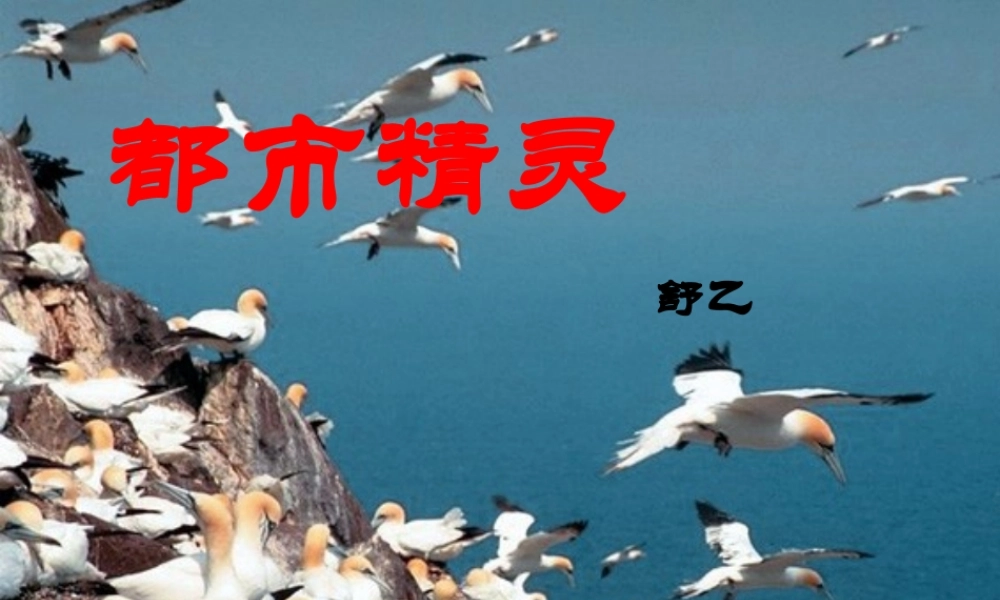 八年级语文上册 (都市精灵)讲课课件 苏教版 课件