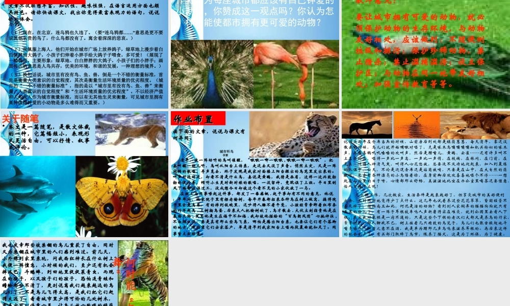 八年级语文上册 (都市精灵)讲课课件 苏教版 课件