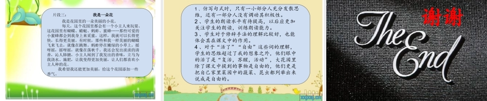 我家的大花园--(湘教版四年级上册)