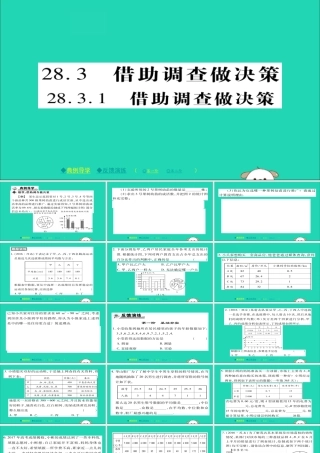 九年级数学下册 第28章(样本与总体)2831 借助调查做决策习题课件 (新版)华东师大版 课件