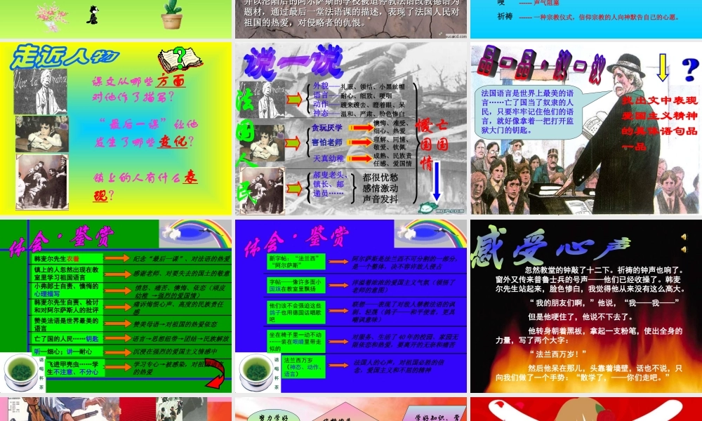 八年级语文 最后一课课件 苏教版 课件