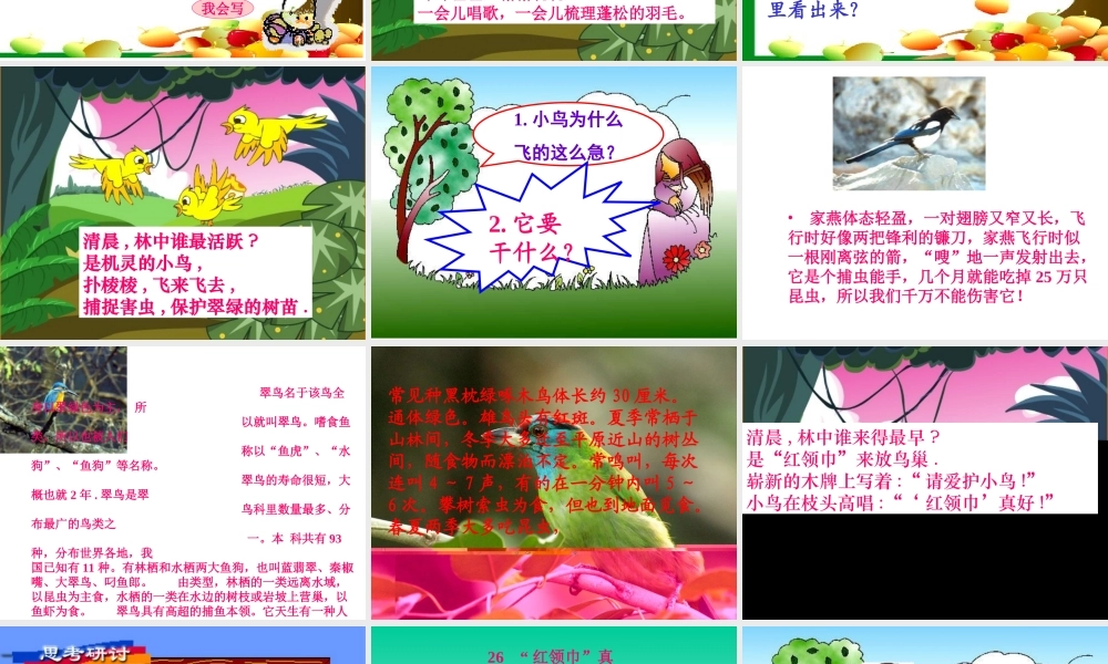26红领巾真好