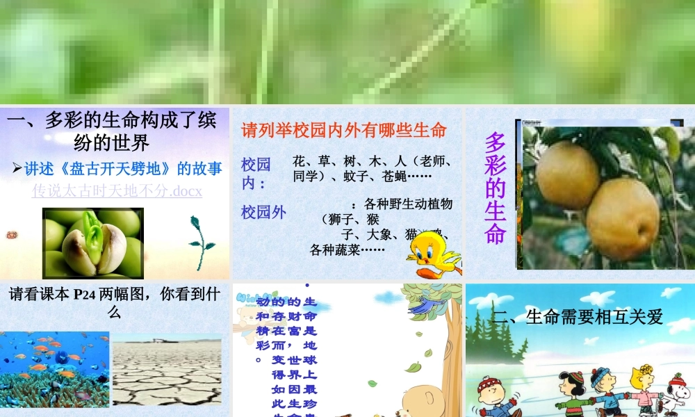 世界因生命而精彩-新人教