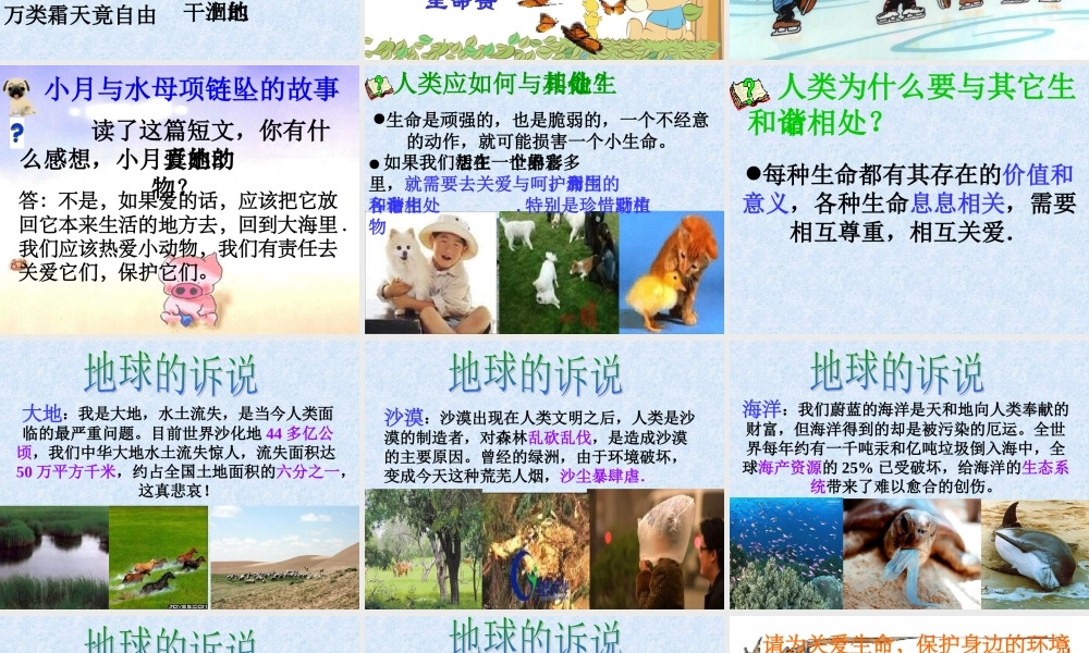 世界因生命而精彩-新人教